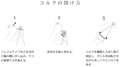 アルゴンヌ 写真