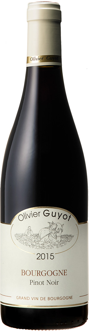 Bourgogne Pino Noir ブルゴーニュ・ピノ・ノワール
